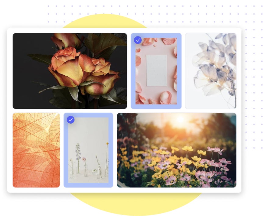 Free stock photos in BeFunky