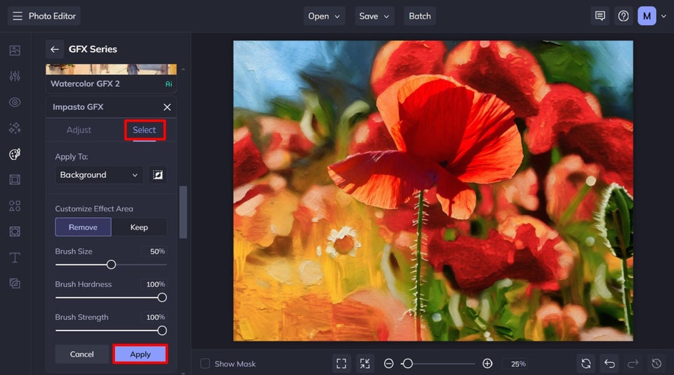 adjust and apply impasto gfx